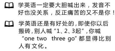 娱乐吃瓜经典语录大全,笑料百出,揭秘明星幕后趣闻