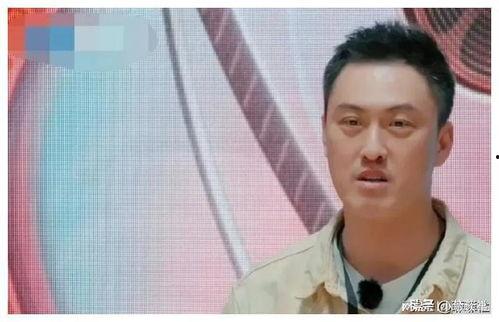 娱乐圈吃瓜爆料黑话,幕后黑幕,瓜田乱舞,真相大起底!